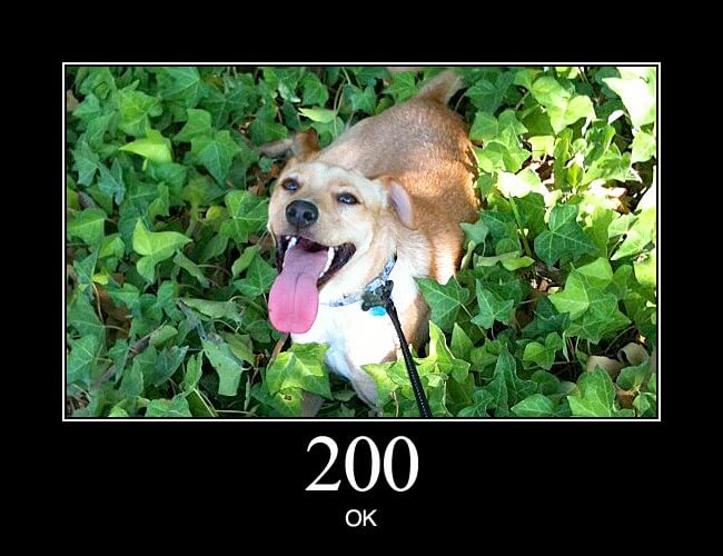 200 OK