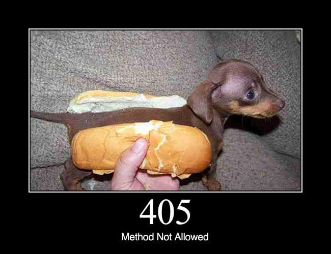 405 Method Not Allowed