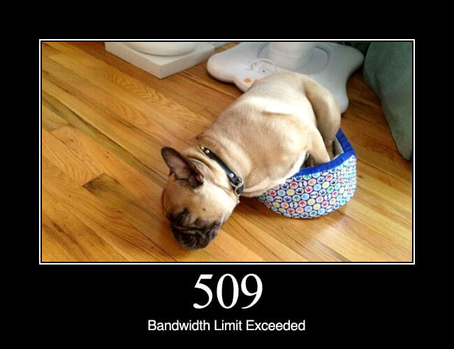 509 Bandwidth Limit Exceeded